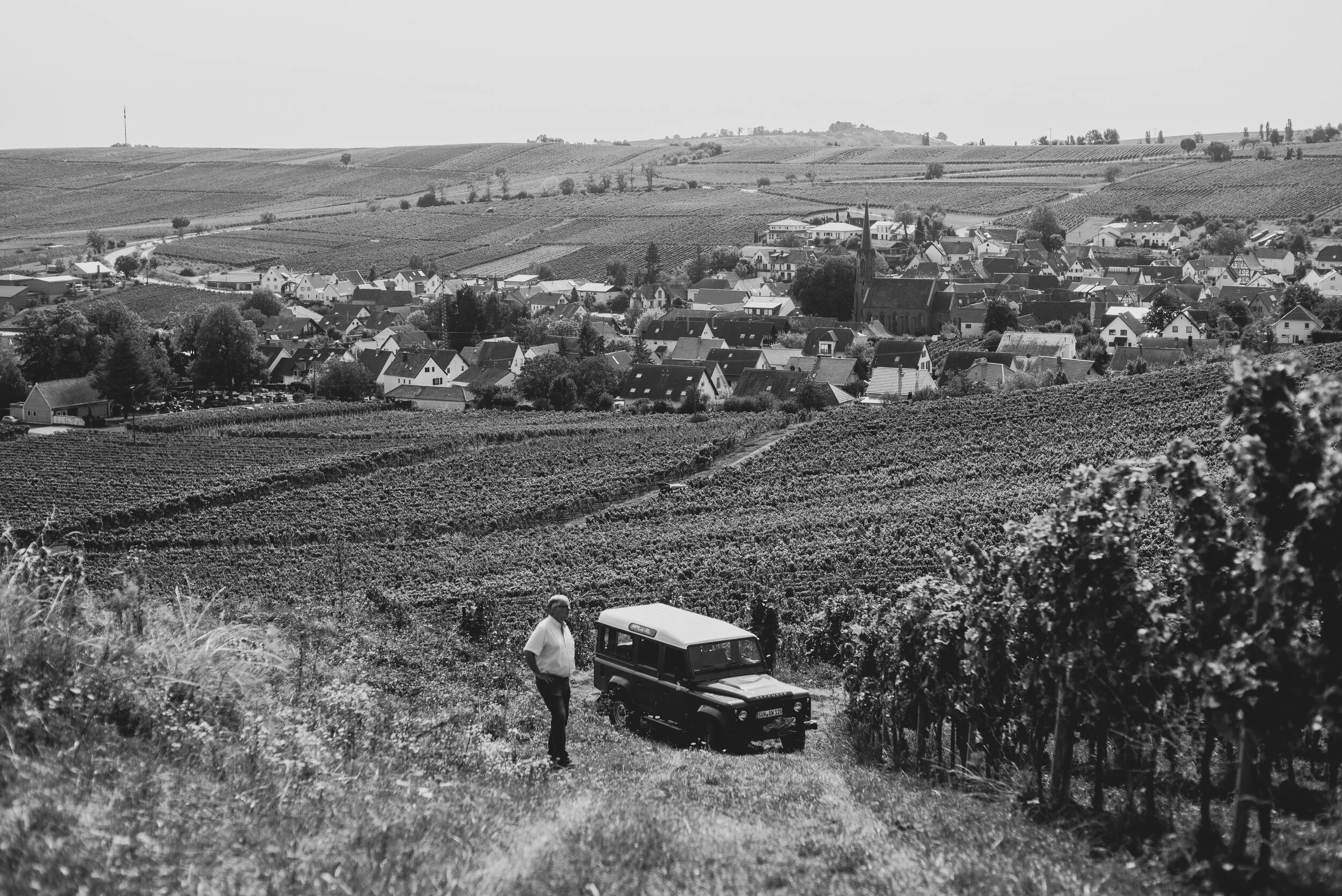 L1005503.jpg