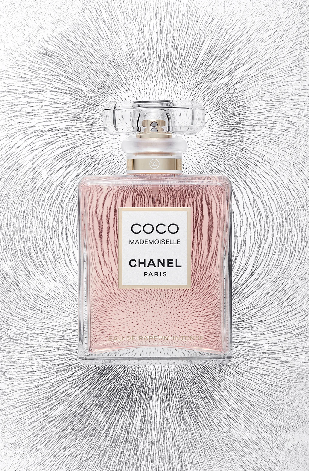 20180220_Stella_Chanel_Shot_1.jpg