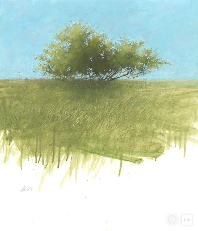 Russian Olive Tree
