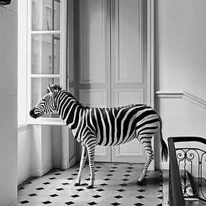 Sortable-Gallery_Rolf-William-Curtis.jpg