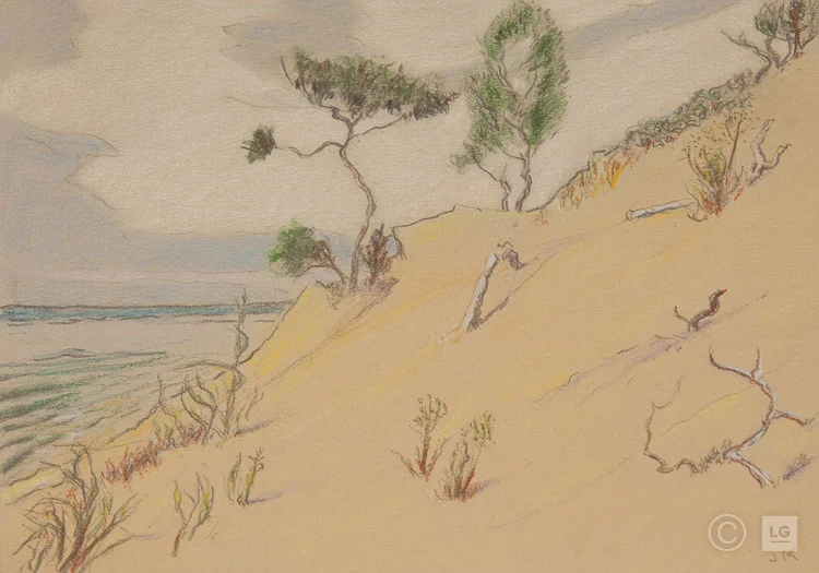 Saugatuck Dune