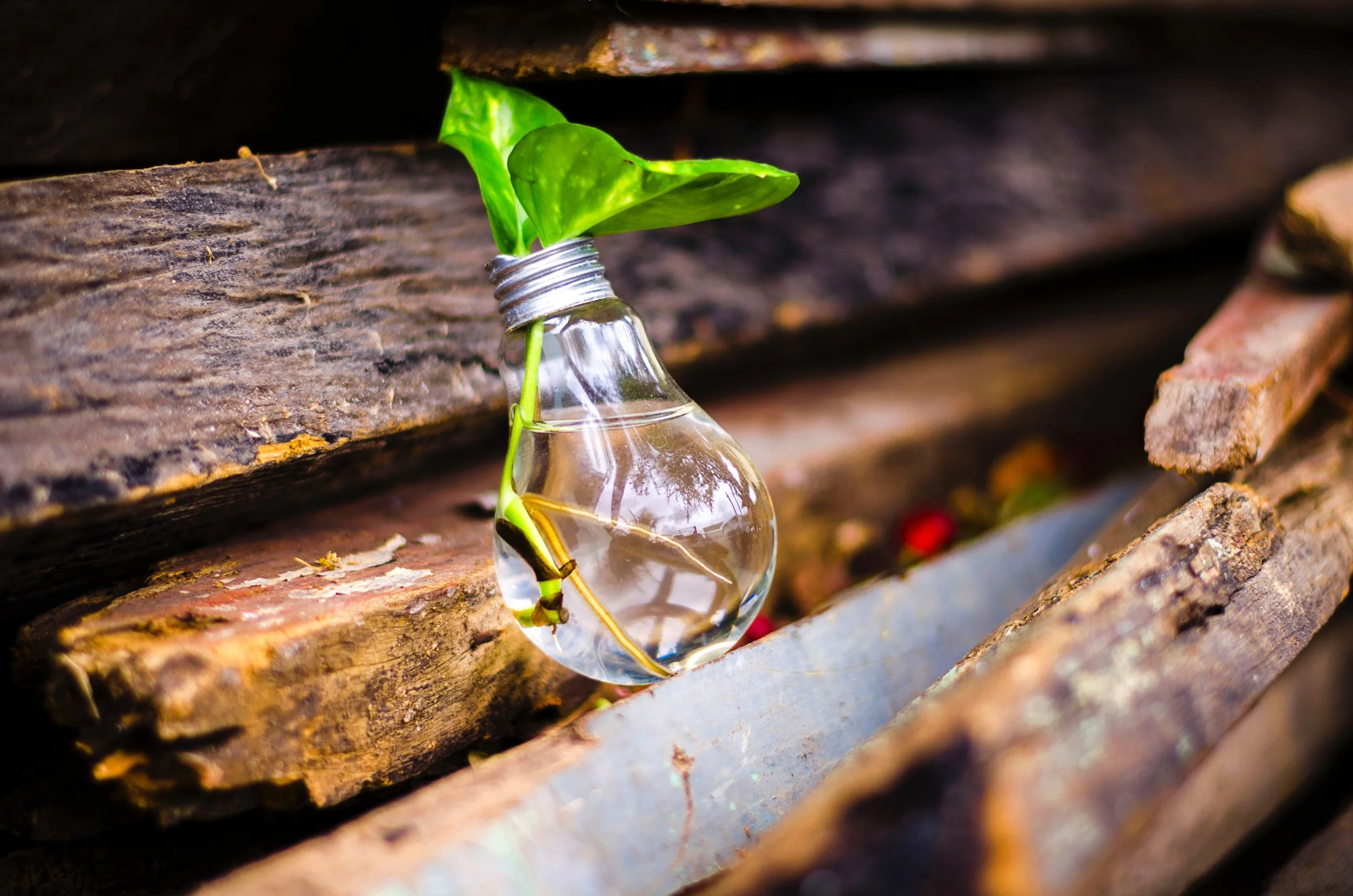 Igniting the inner fire within young people by transforming little sparks of creativity into miles of innovation. We give youth the tools they need so that they can create milestones from their inner passions.