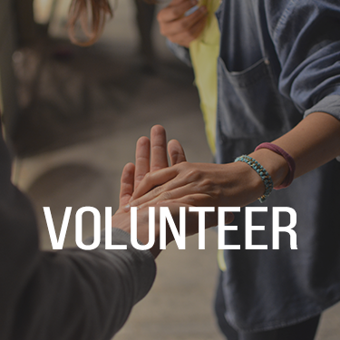 Volunteer_Web.png