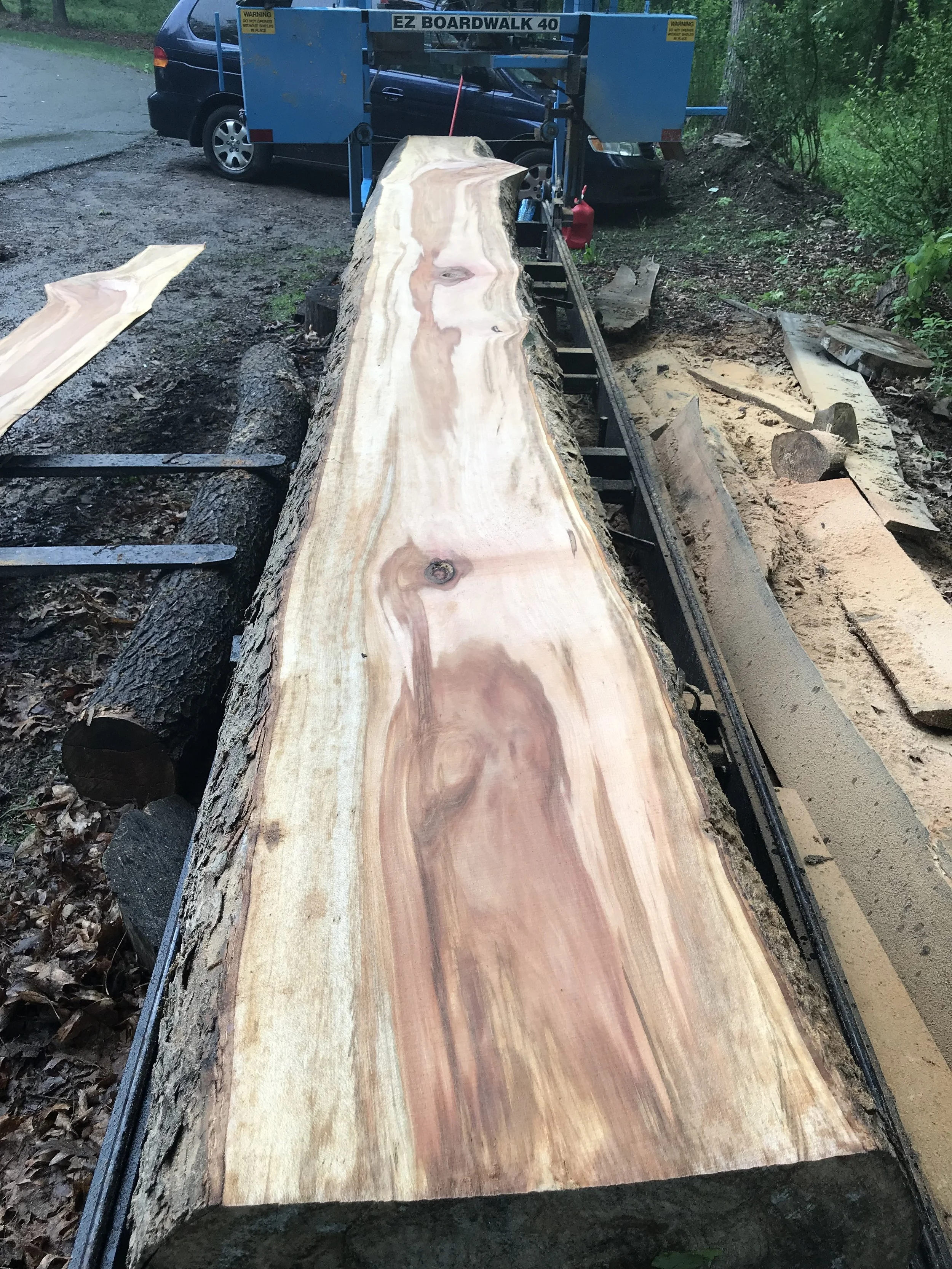 Sycamore Slab (Jakes Creek) #2