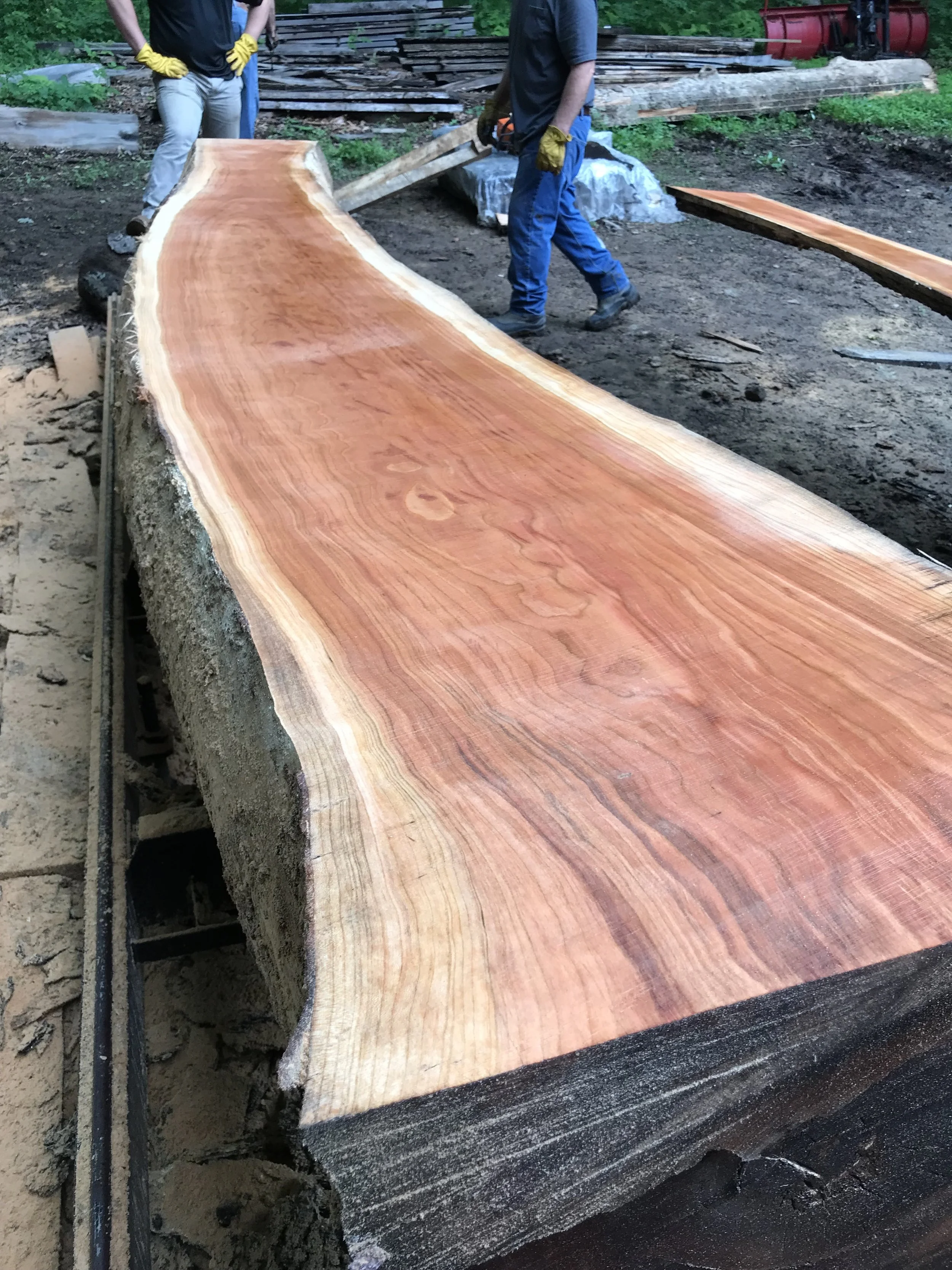 Cherry Slab (Stewart) #1