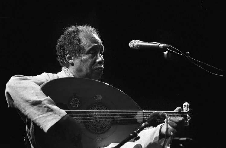 hamza-el-din.jpg