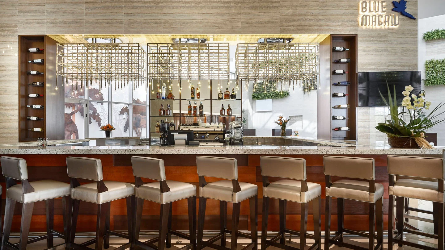 blue macaw bar.jpg