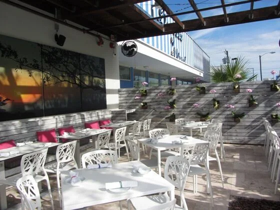 Bloom Restaurant and Cocktail Bar in Miami Art District
