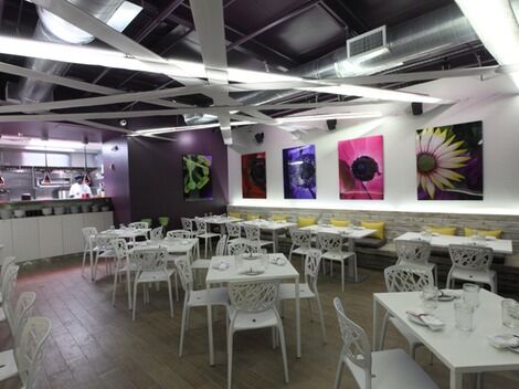 The Bloom Miami 2.jpeg