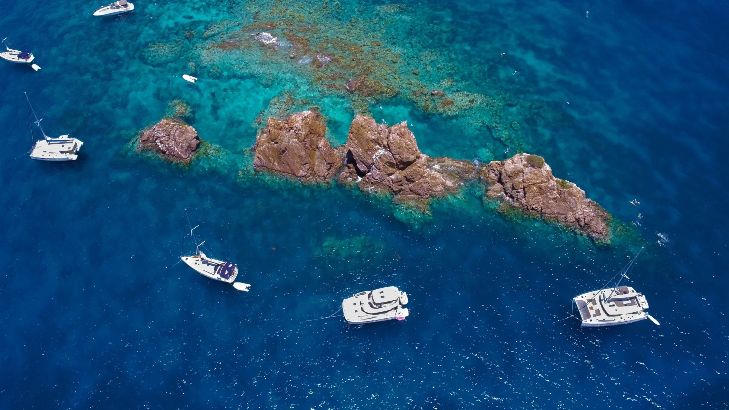 Untitled design (1).jpg