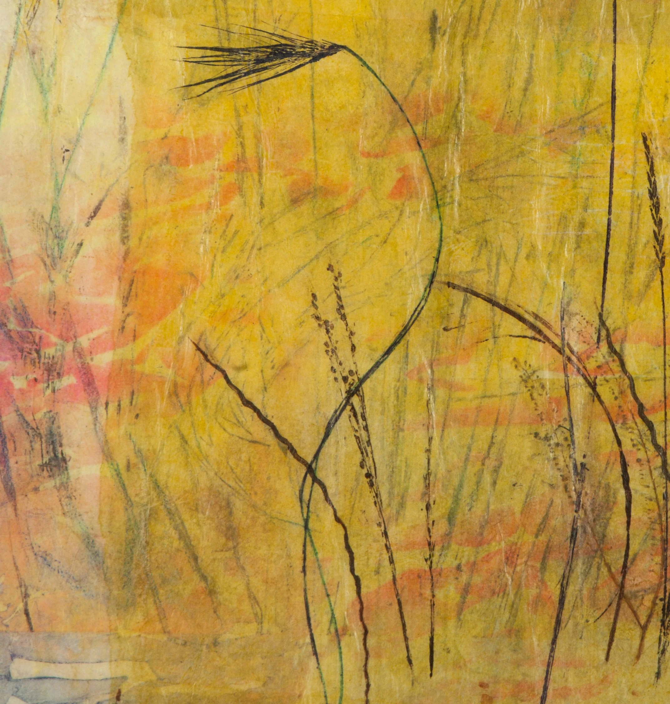 "Windswept"