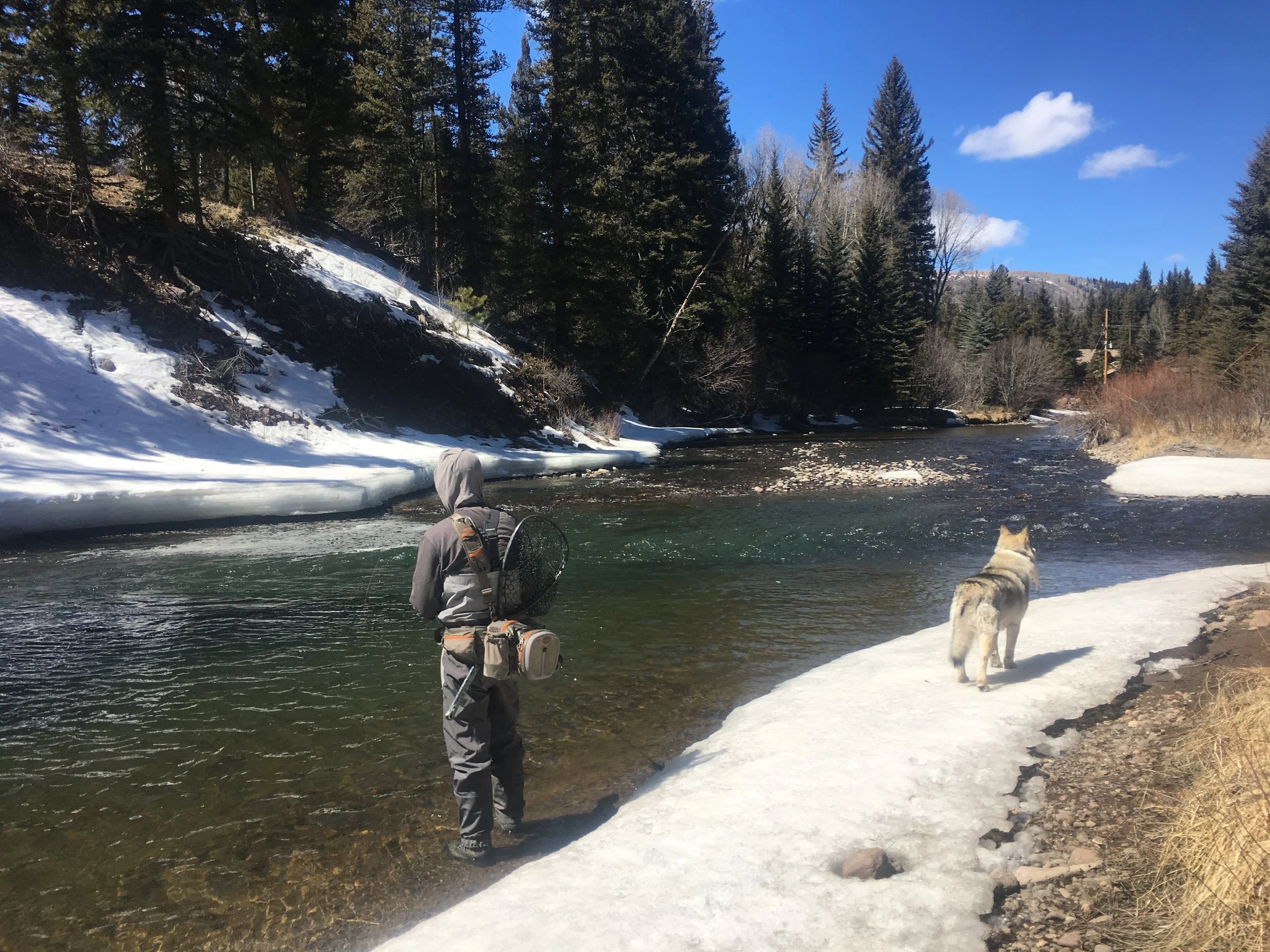 Fly Fishing with Artful Angler