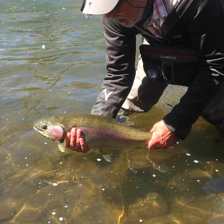 Fly Fishing Santa Fe, Taos, Chama & New Mexico Award Winning