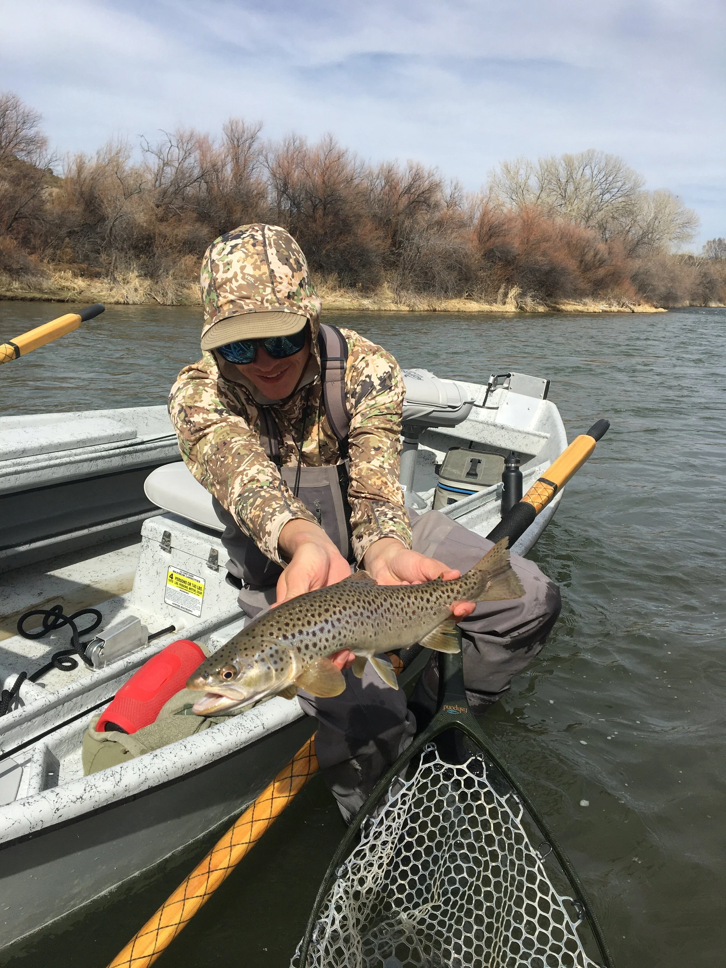Solid Brown from the Rio Grande