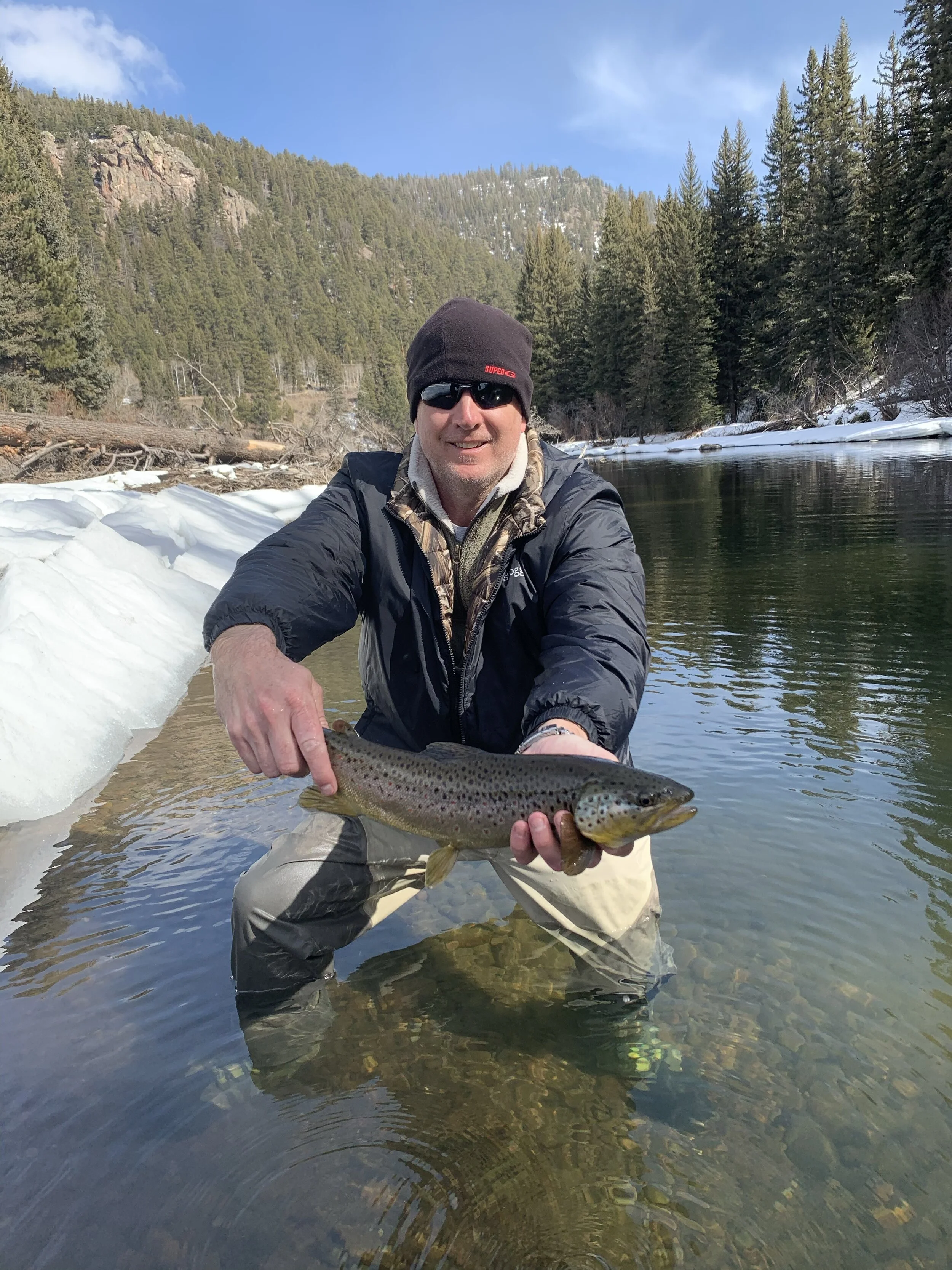 Big Brown Conejos River Colorado