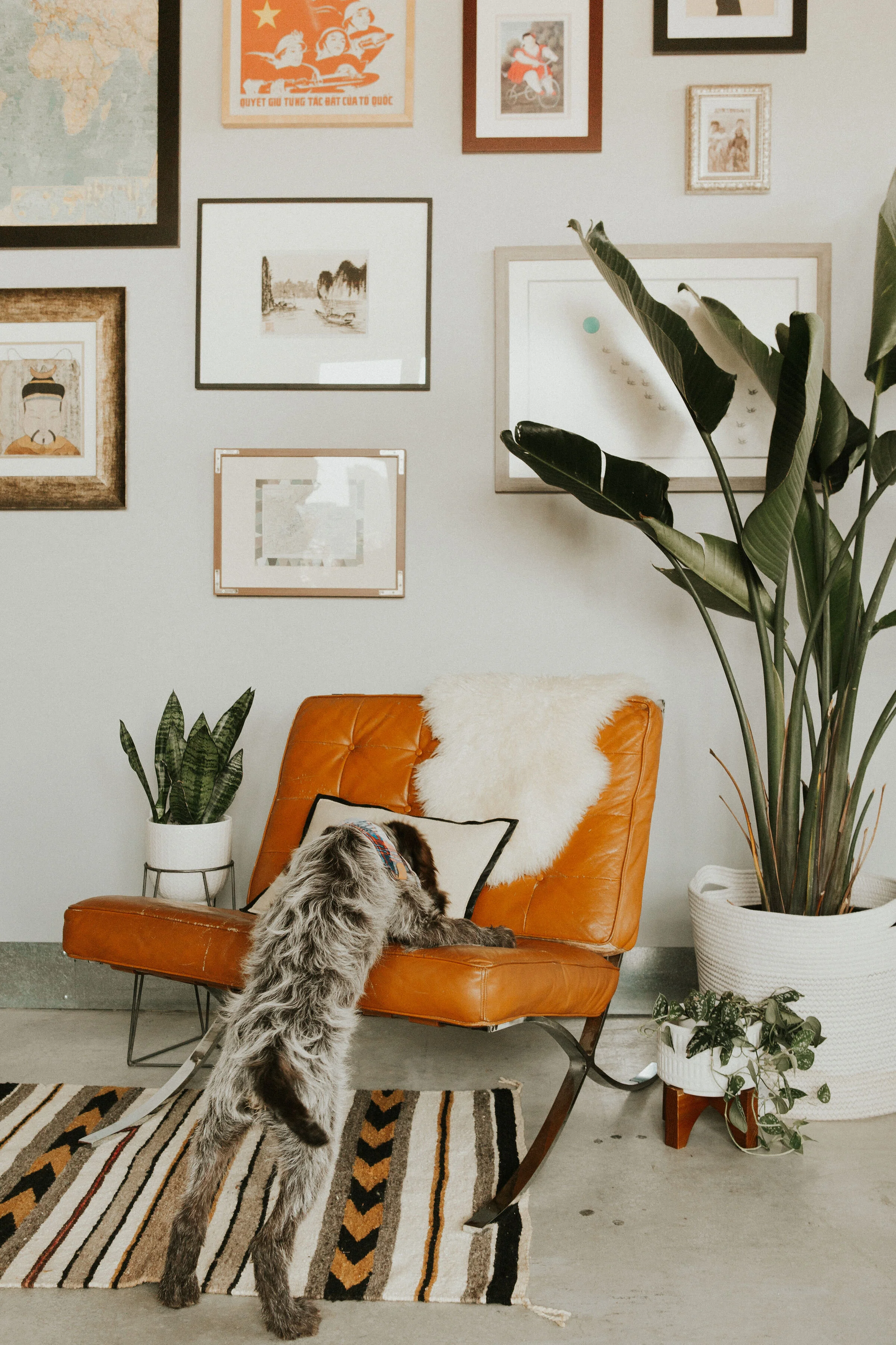 Residential Installation / Nicole Ashley Photography.