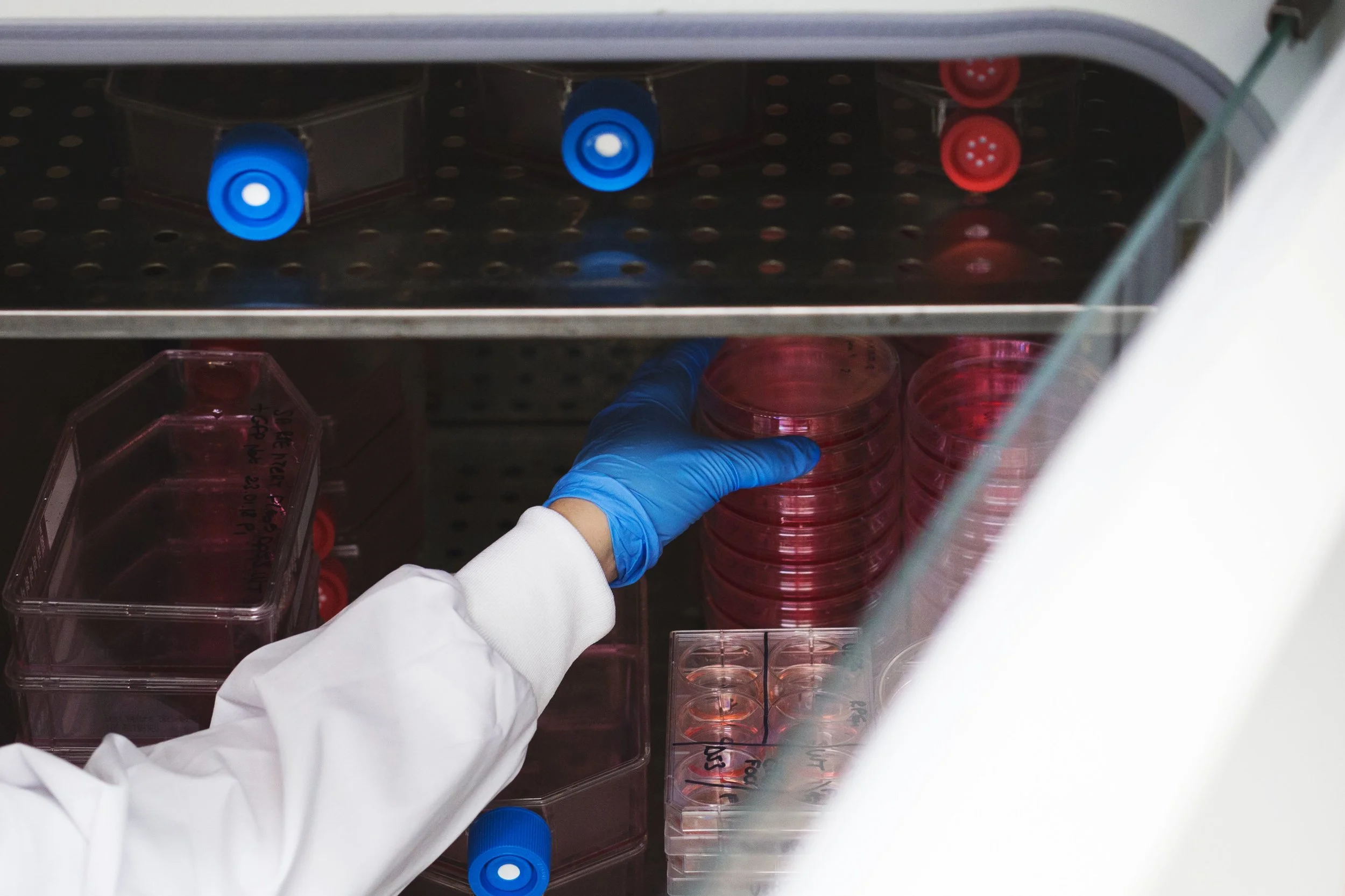 lab-test-storage-hand_4460x4460.jpg