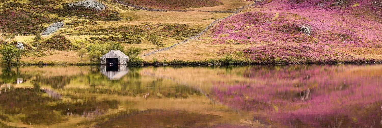 Paul Fowles Photography, Aberdovey Aberdyfi, Cregenon Lake - Heather.jpg