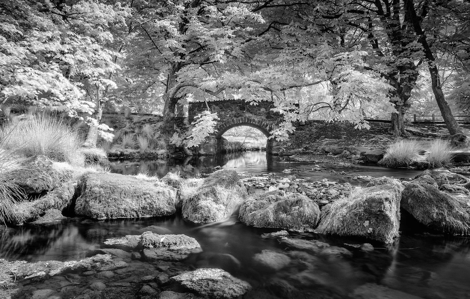 Minffodd Bridge Paul Fowles Photography, Aberdovey Aberdyfi,.jpg
