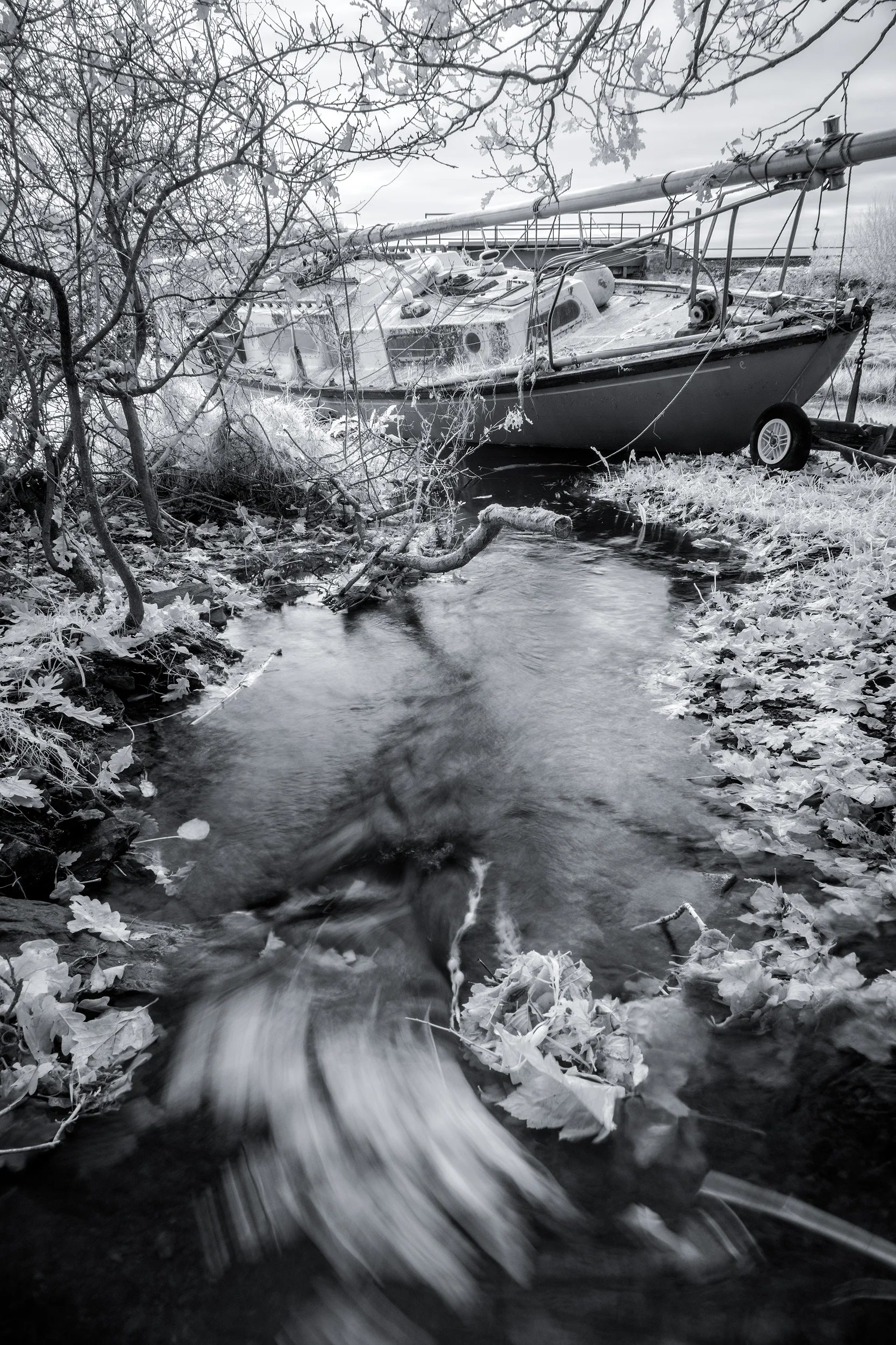 _IRP0567-Edit copy.jpg IR Boat.jpg