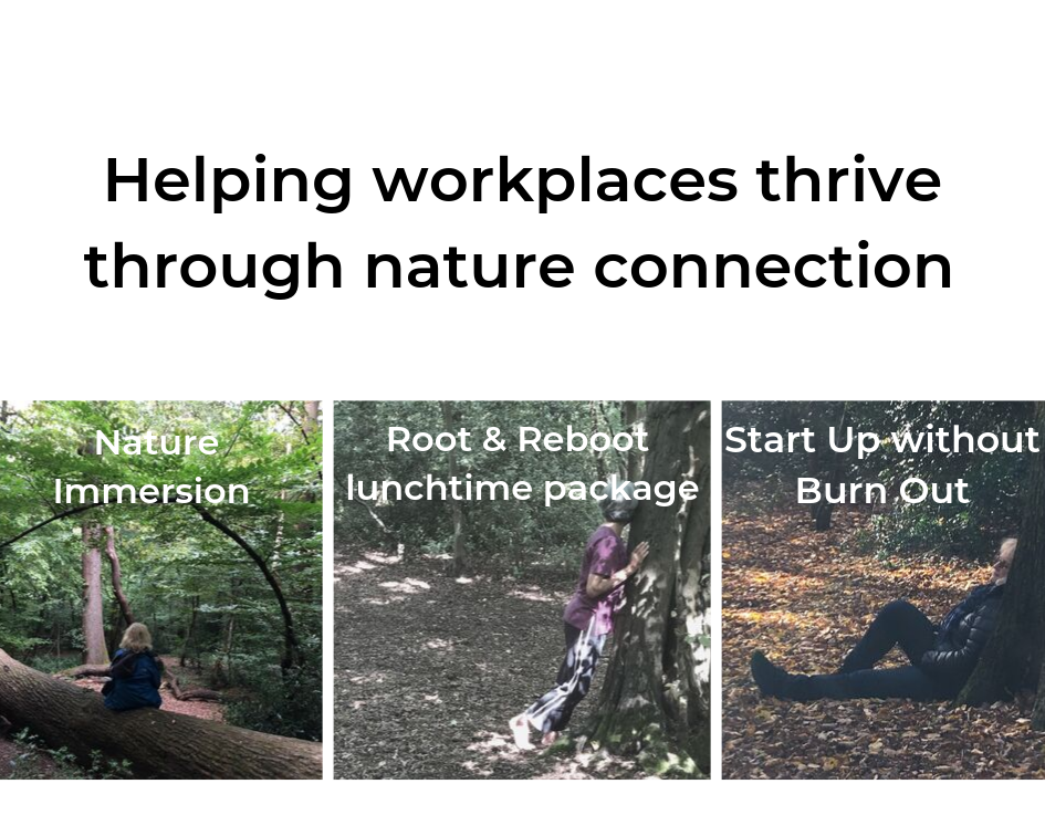 Helping workplaces thrive.png