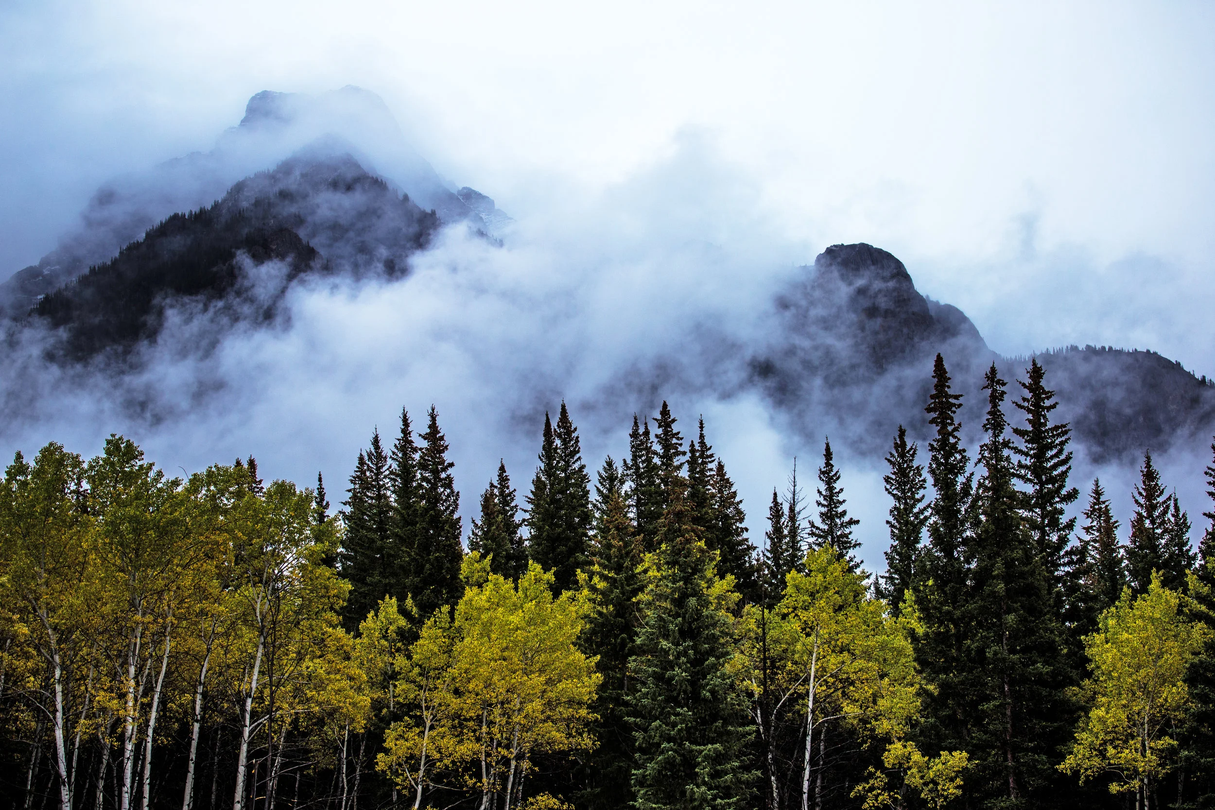 landscape photography, landscape photography to buy, landscape photography for sale, photos of mountains, photos of trees, misty mountains, trees and mist in the mountains, rocky mountains
