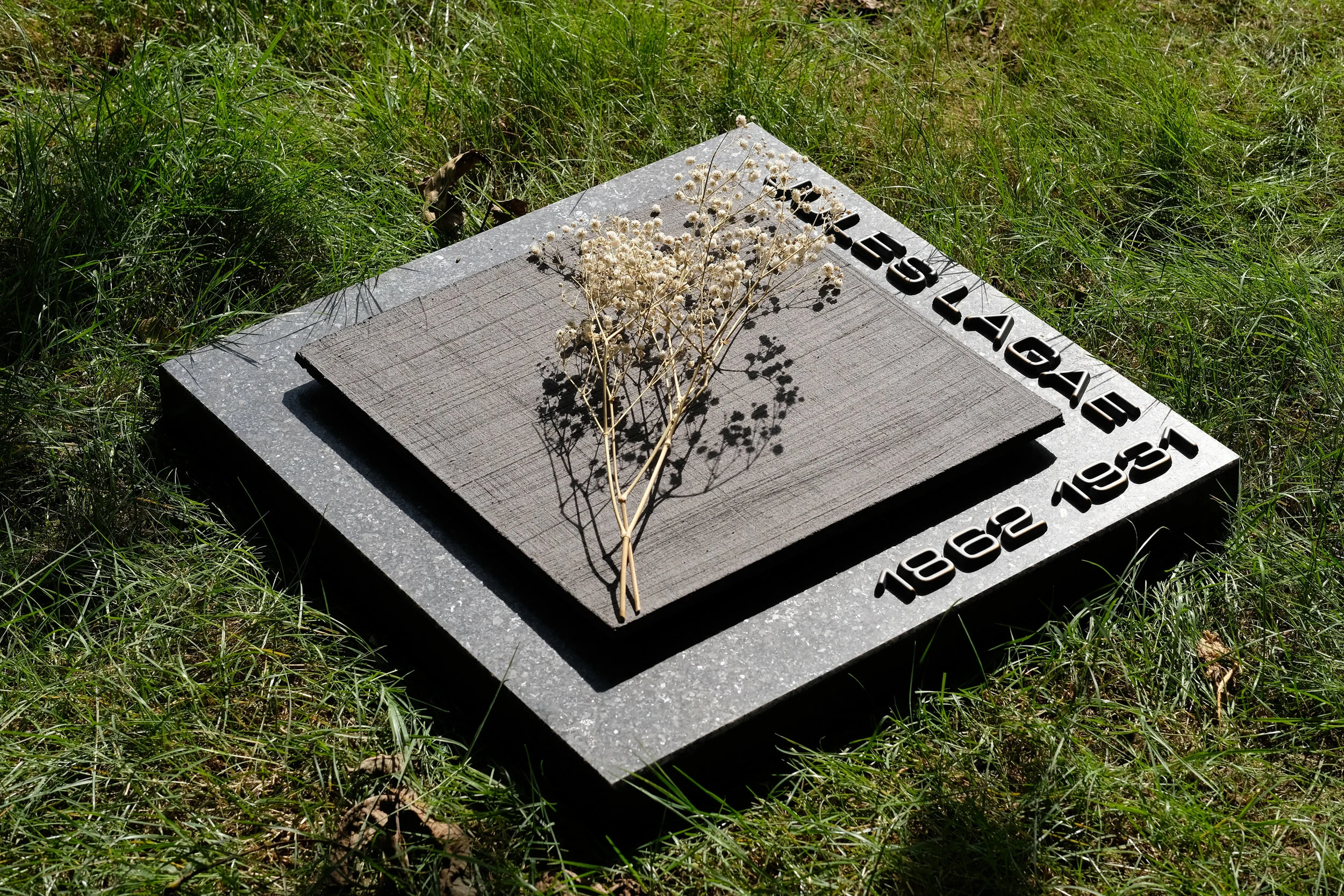 DSCF6447.jpg