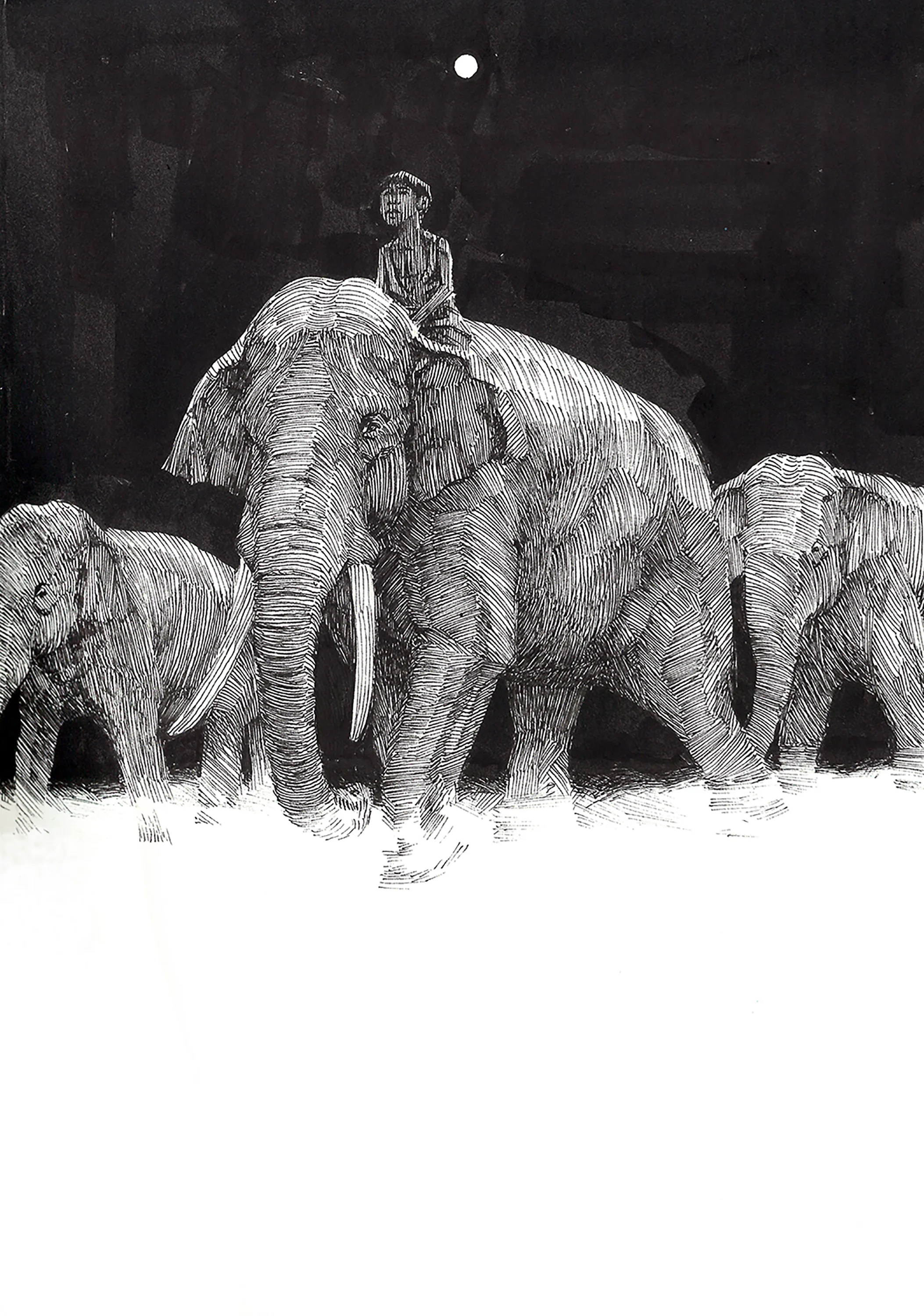 Toomai Ink on Paper - Original Available