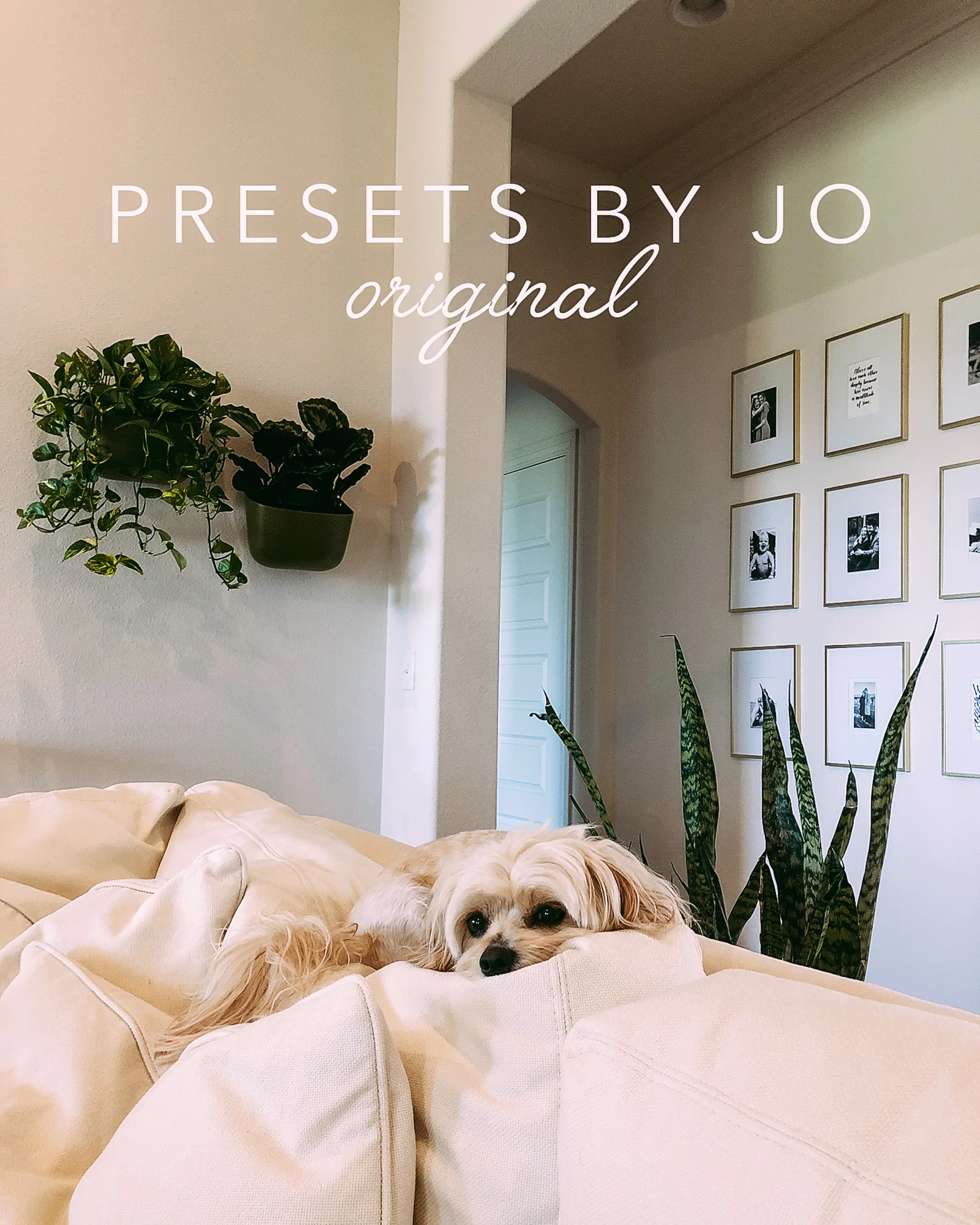 presets-5.jpg