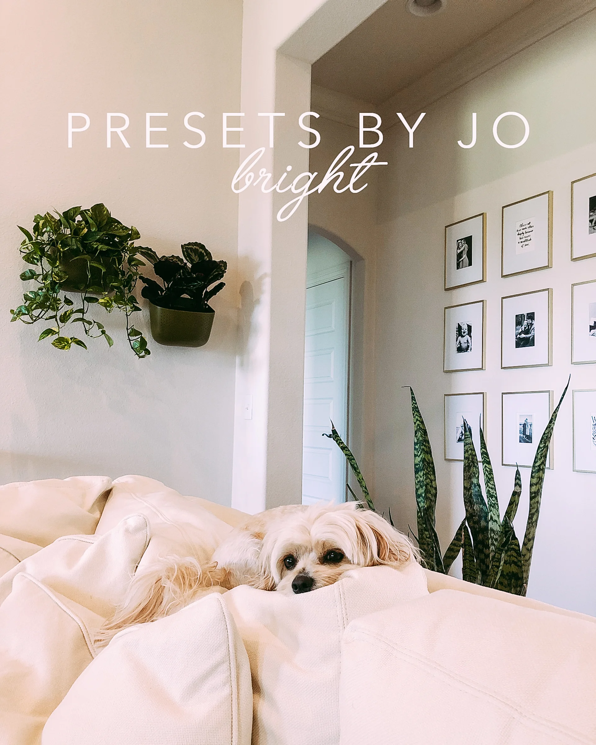 presets-1.jpg