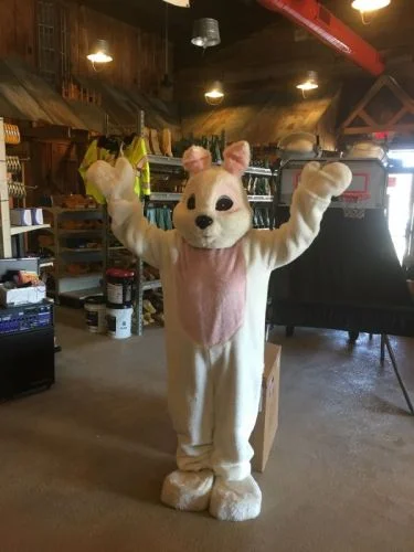 buny-suite_001.jpg