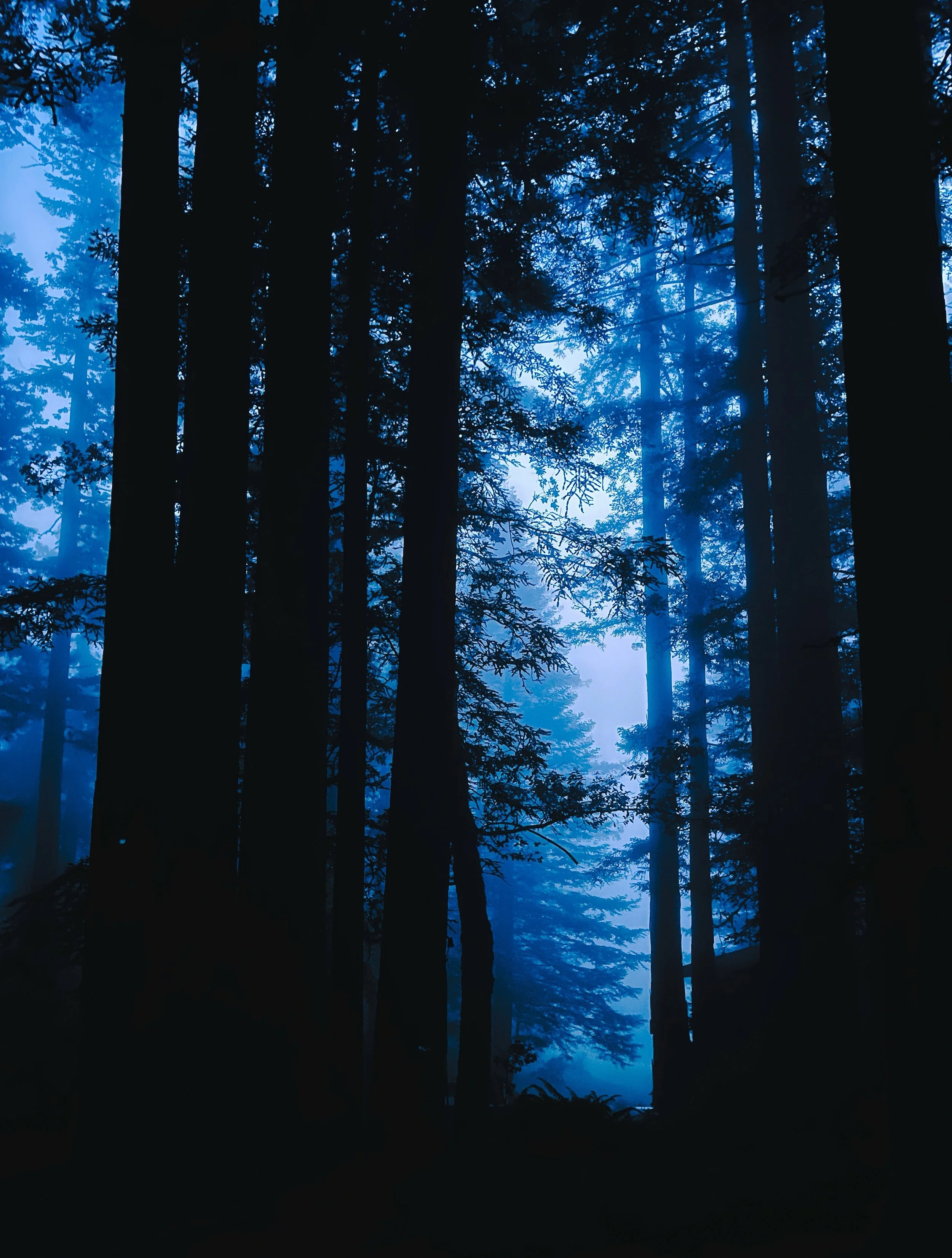 2025-09-09 12.03.42larger.jpeg