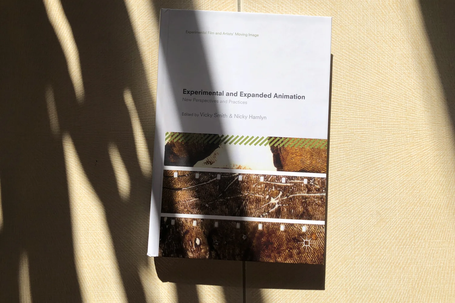 Work discussed in new book 'Experimental and Expanded Animation'