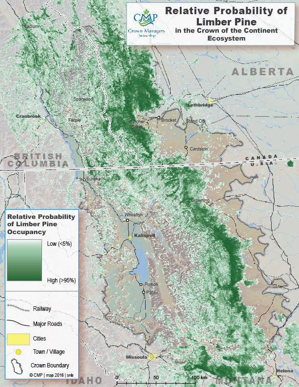 Relative Probability of Limber Pine in the Crown