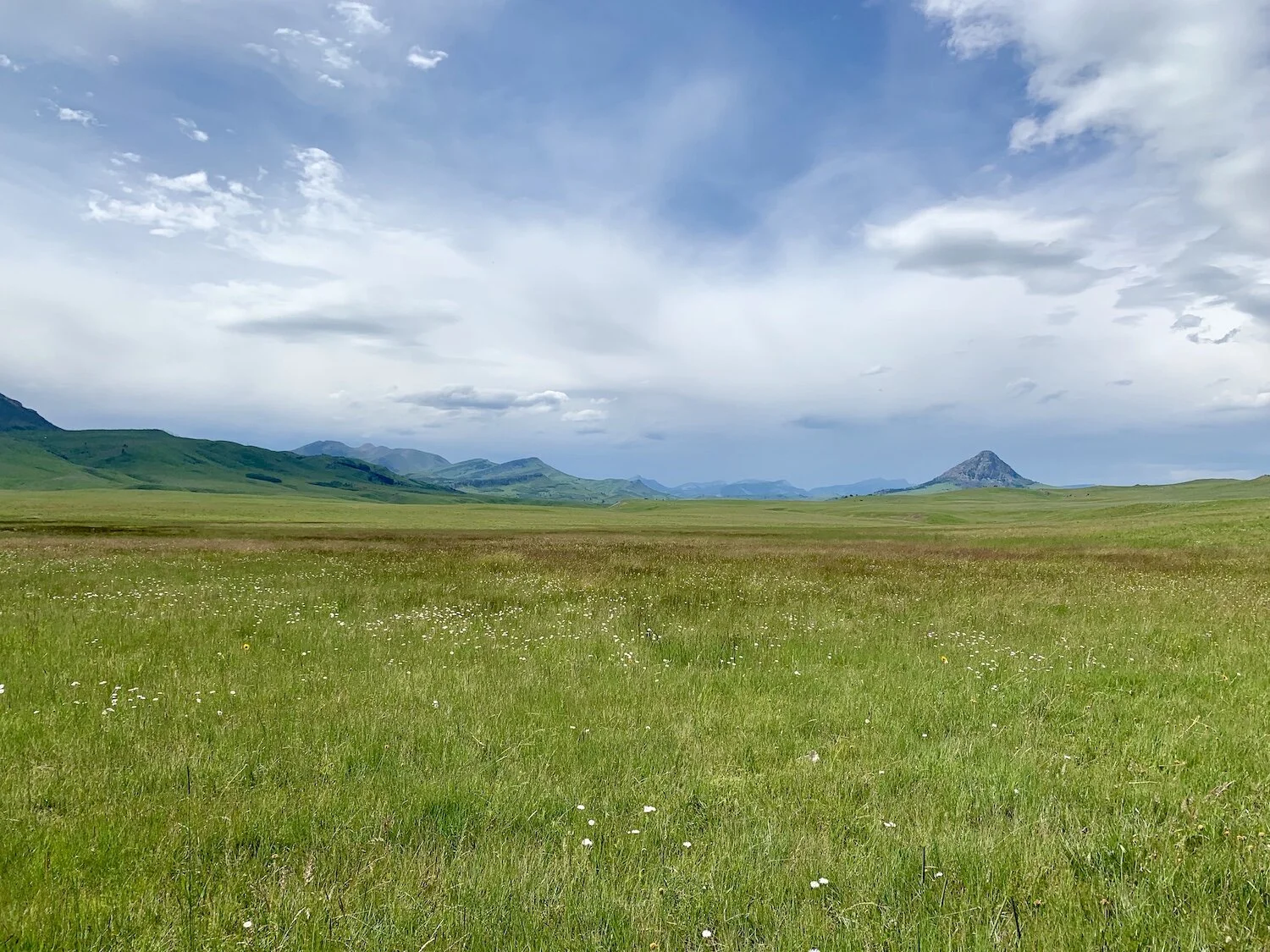 Rolling_Hills3[1]_ADouglas_reduced.jpg