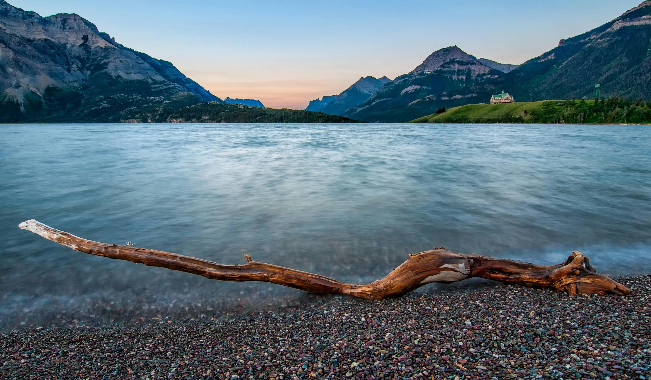waterton driftwood.jpg