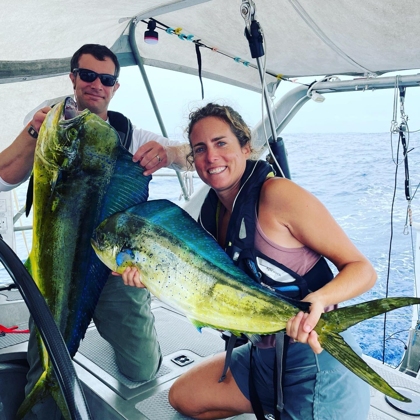 Check out these nice fish!!!! Definitely a highlight of the passage. #mahimahi #mahi #offshorefishing #offshore