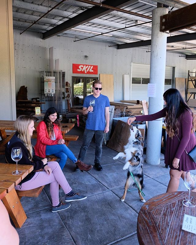 Bring the whole gang and hangout on the patio! 🐕🍷
-
-
-
-
-
#arcata #humboldt #eureka #bluelake #humboldtcounty