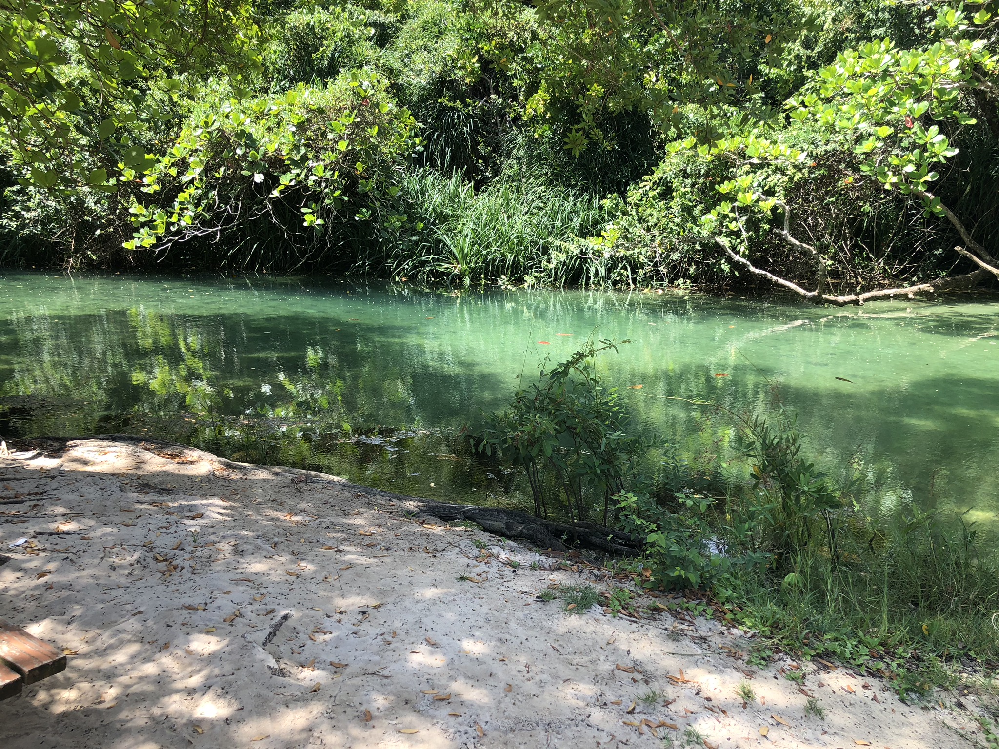 River at Frenchman's Cove