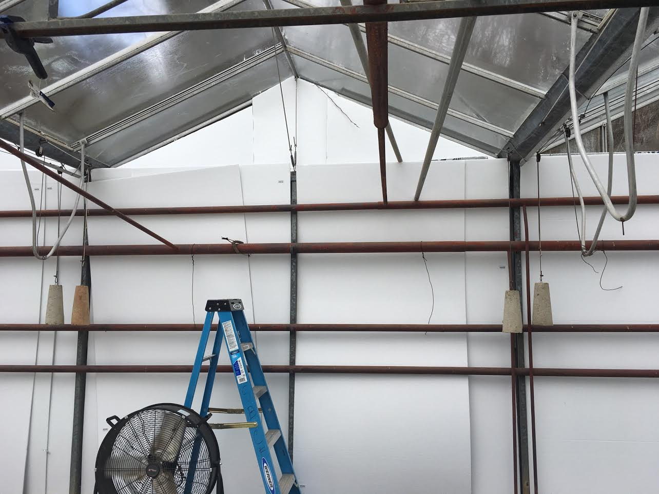 New foam panels installed to reflect harmful sun rays from reaching the plants in the greenhouse.