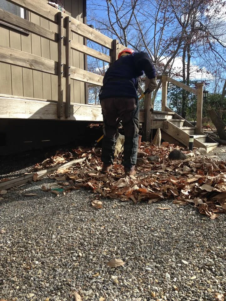 firewise landscaping 2.jpg