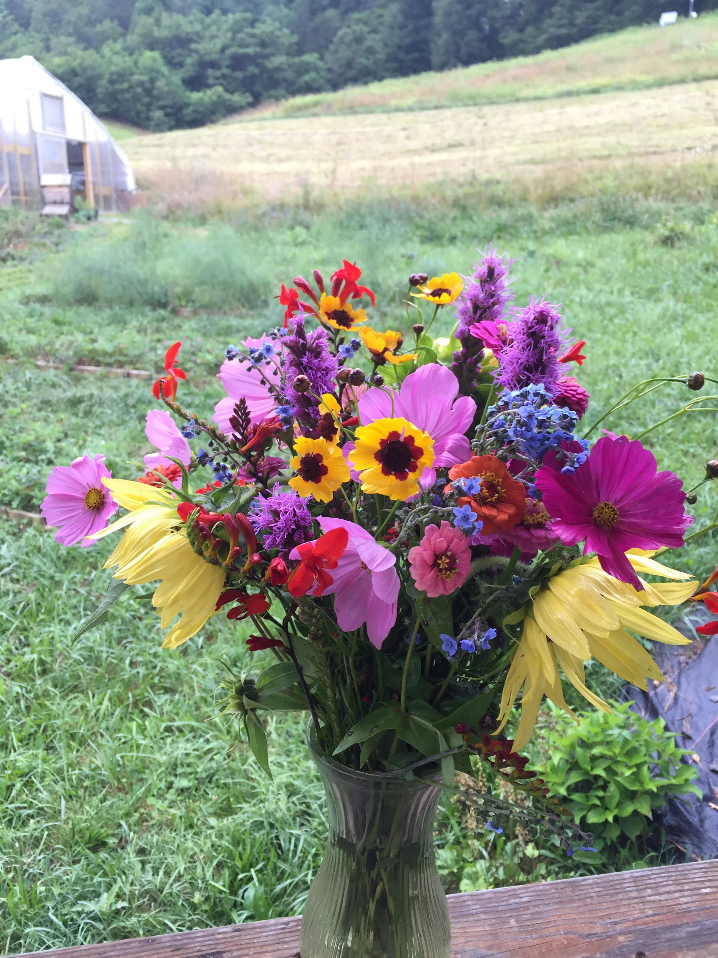 Flowers grown on Indigo Bunting Farm.