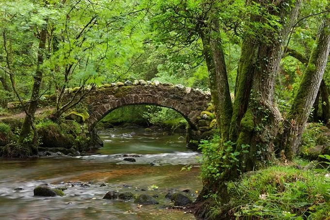 river bovey.jpg