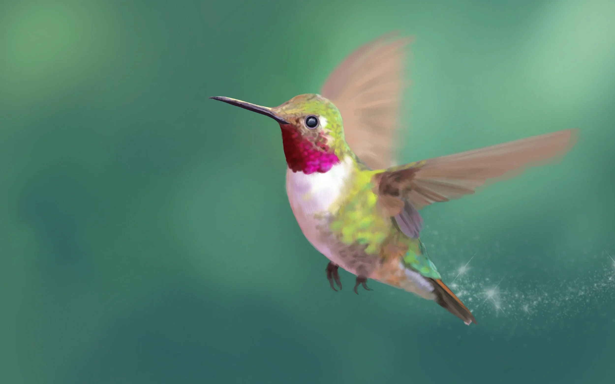 hummingbird.jpg.webp