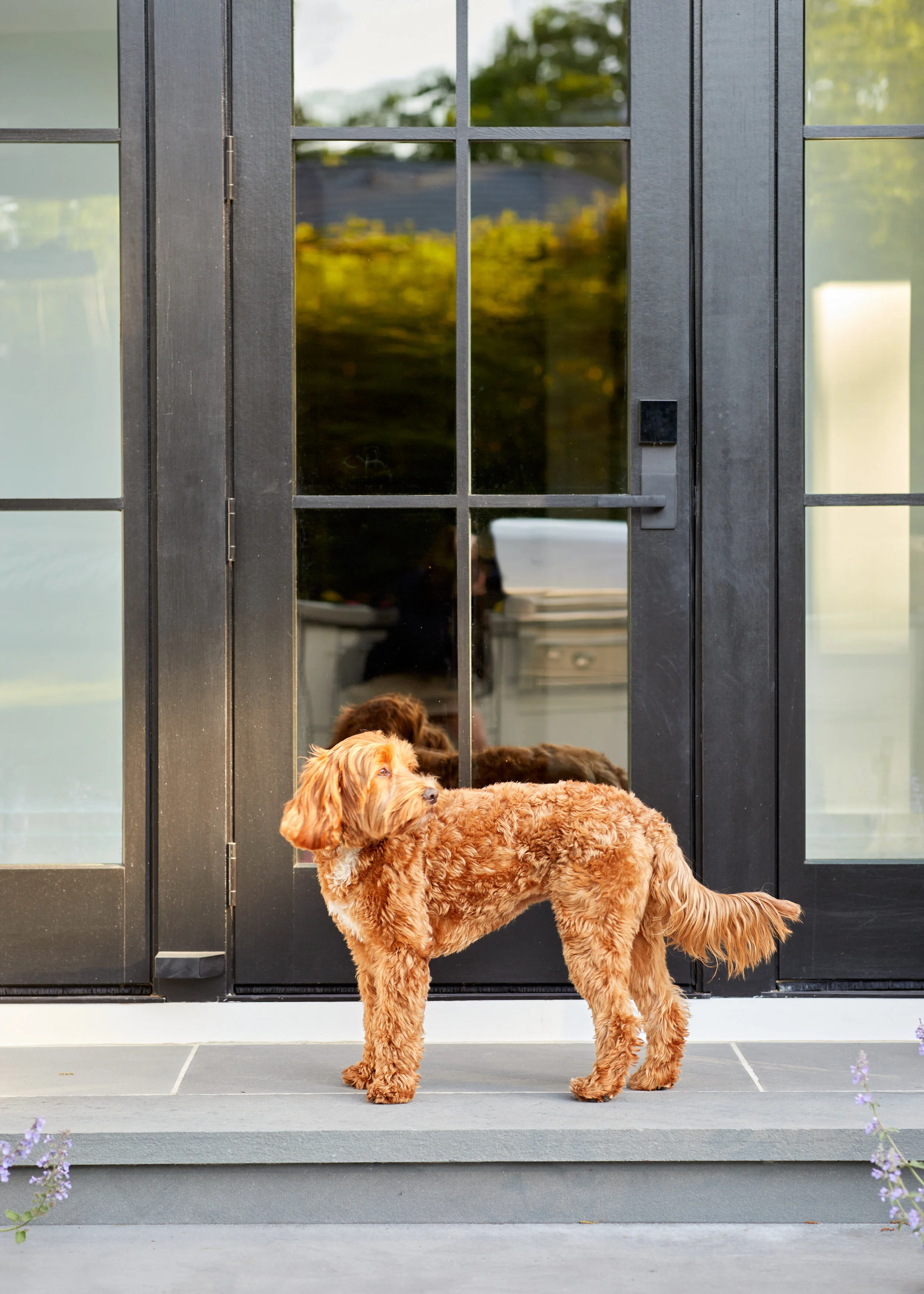 020_rearexteriors_447.jpg