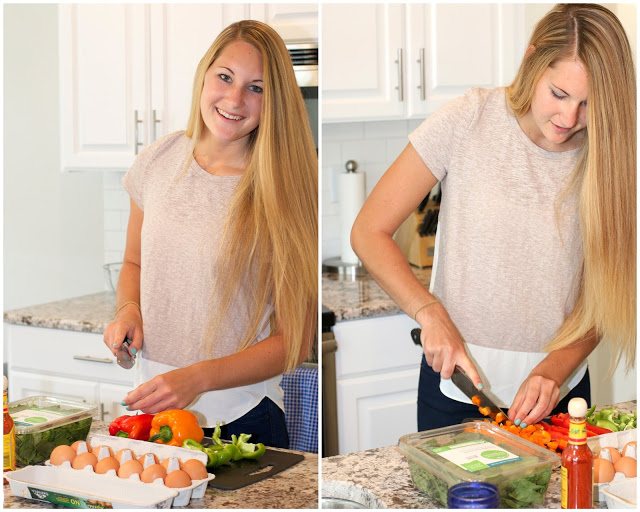 Sidney's Skinny Omelet