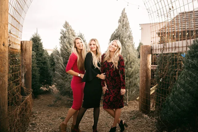 3 Perfect Holiday Dresses