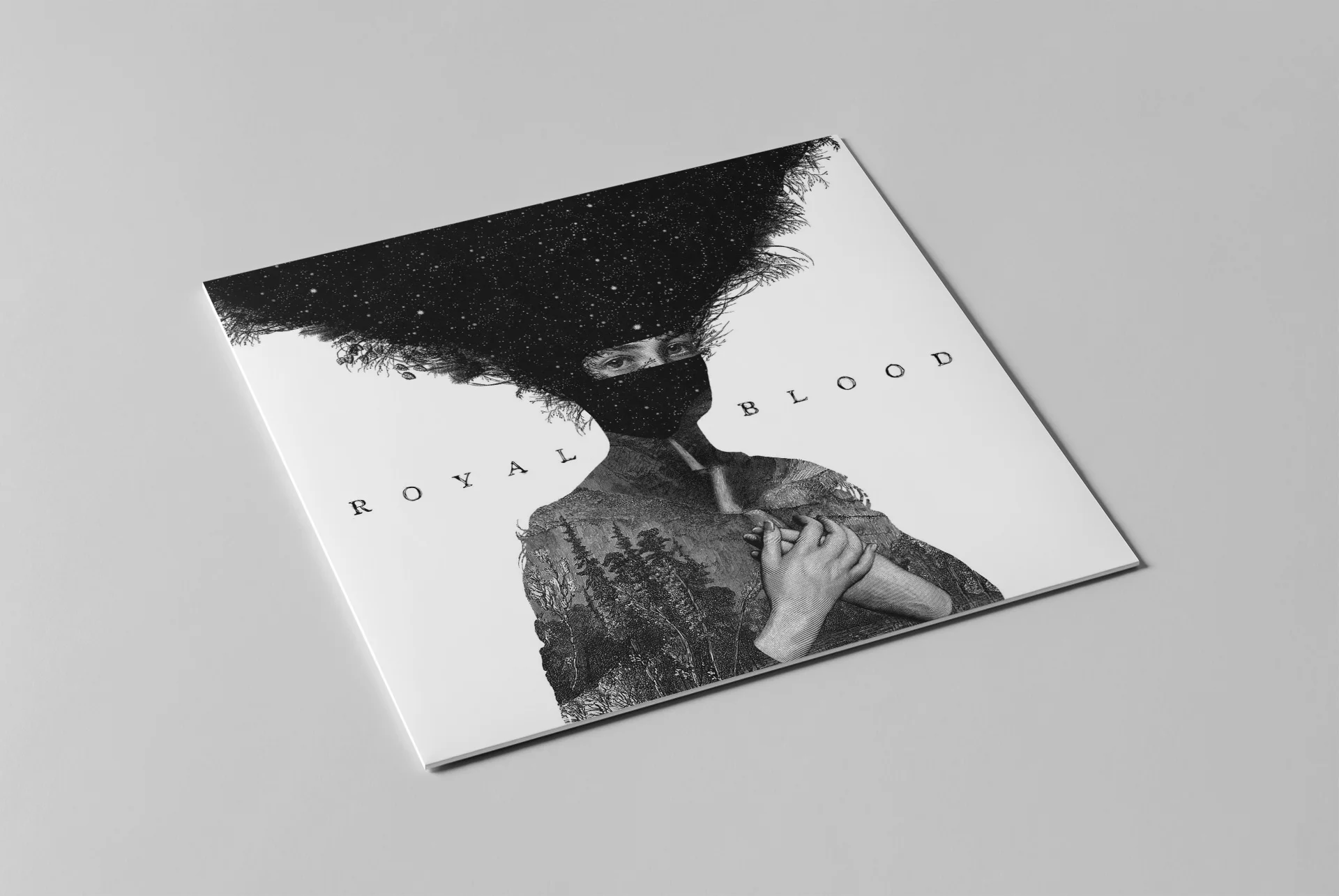  Royal Blood Branding - I contributed to the first album campaign delivering the type logo design.   Record cover illustration by Dan Hillier.  