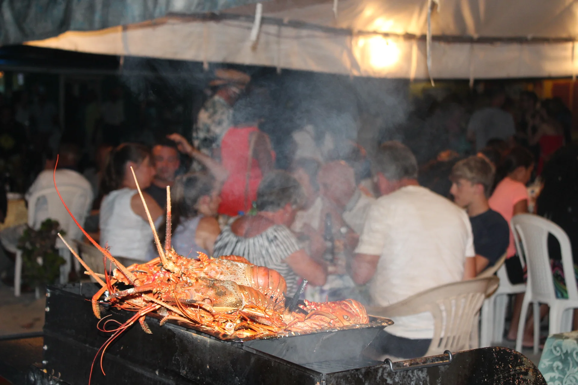 6241698960_IMG_0138 2.JPG