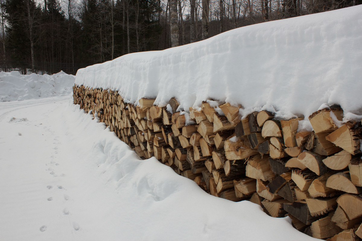 Wood pile 3.11.15.jpg